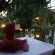Romantic Nights 