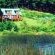 Double Storey Cabin