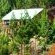 Single Storey Cabin