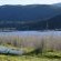 Lagoon in Nature's Valley