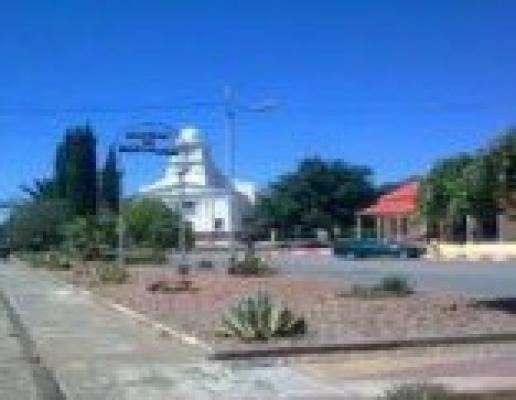 Koffiefontein