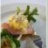 Lunches & Dining