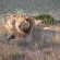 Addo Elephant Park