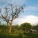 Nuanetzi Game Lodge