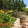 The garden