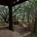 Verandah, splash pool and braai area