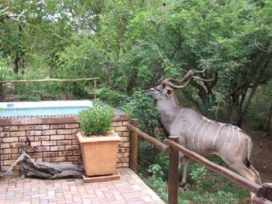 Marloth Bush Retreat