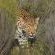 Aquila Private Game Reserve Safari & Spa