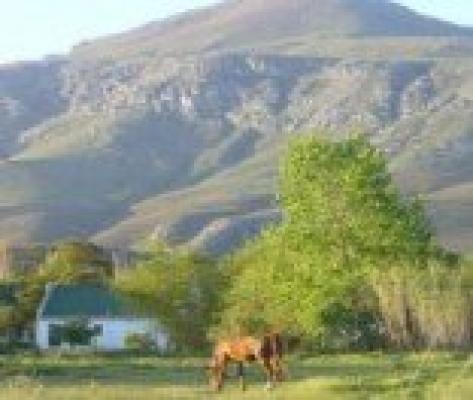 Greyton
