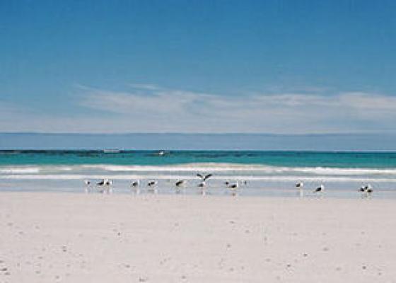 Pearly Beach