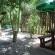 Forest cottage braai area