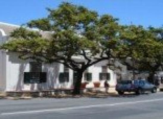 Stellenbosch