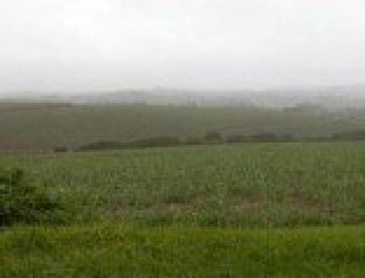Eshowe