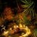 Waterfalls Boutique Hotel