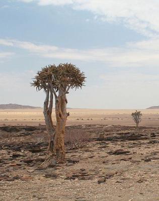 Wildlife & Game Reserves of Namibia