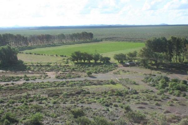 View from the koppie