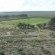 View from the koppie
