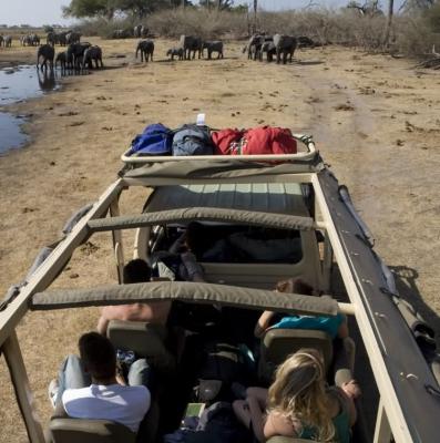 Game drive in Chobe