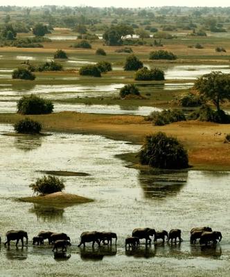 Okavango Delta