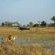Chitabe Camp Game Viewing