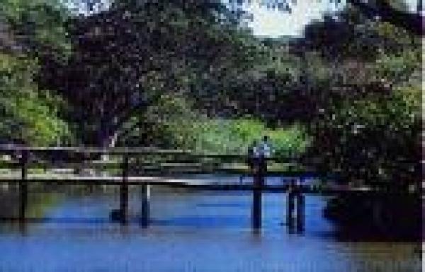Amanzimtoti