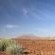 Desert Rhino Camp