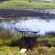 Bird Hide