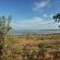 Chobe River