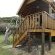 Forest Cabin