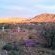Karoo View Cottages at Sunset
