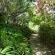 Sub-tropical garden