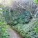 Up the garden path