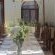 Penguino Guesthouse