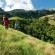 Woodcliffe Mountain