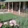 Yamkela Guesthouse