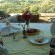 Duesternbrook Safari Guest Farm
