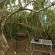 Addo Elephant Park Spekboom Tented Camp