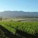 Nuy Valley Guesthouse