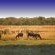Ditholo Game Lodge