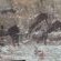 Bushman paintings