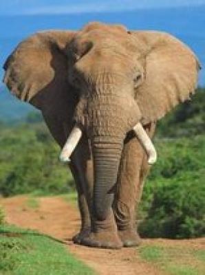 South African Country Places