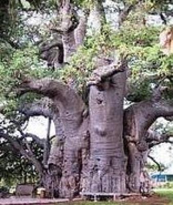 South African Country Places