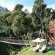 Suspension Bridge