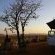Bambatsi Guest Farm 