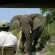 Ezulwini Game Lodges