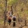 A stroll along our nature trails.