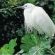 Oribi Gorge Nature Reserve