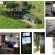 Francolin cottage
