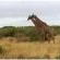 Thali Thali Game Lodge