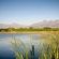 Farm Dam